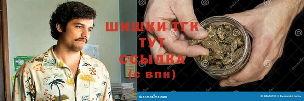 прущие крисы Зеленодольск