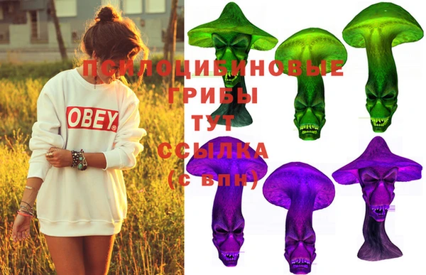 мдма Инта