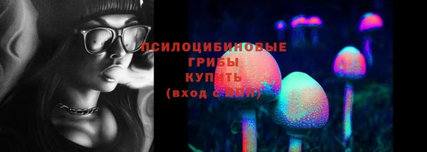 молекула духа Зеленокумск