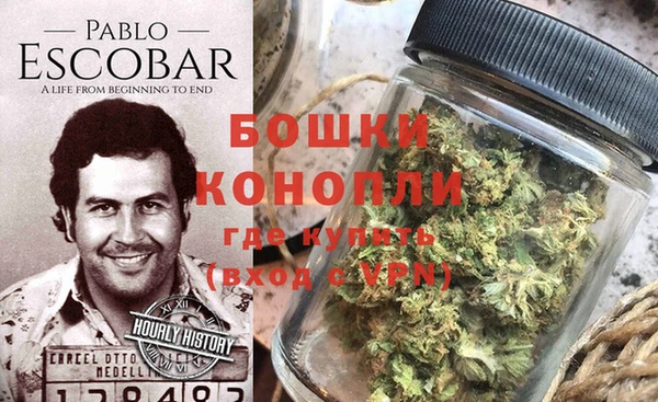 молекула духа Зеленокумск