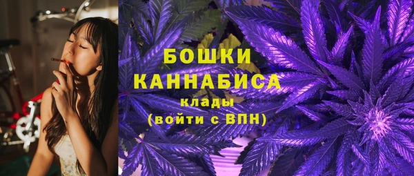 молекула духа Зеленокумск