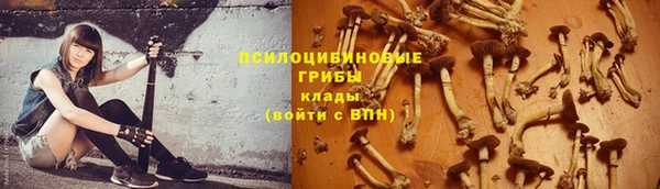 прущие крисы Зеленодольск